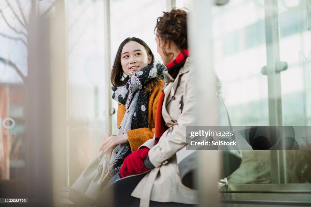 Vrouwelijke collega's wachten op de bus
