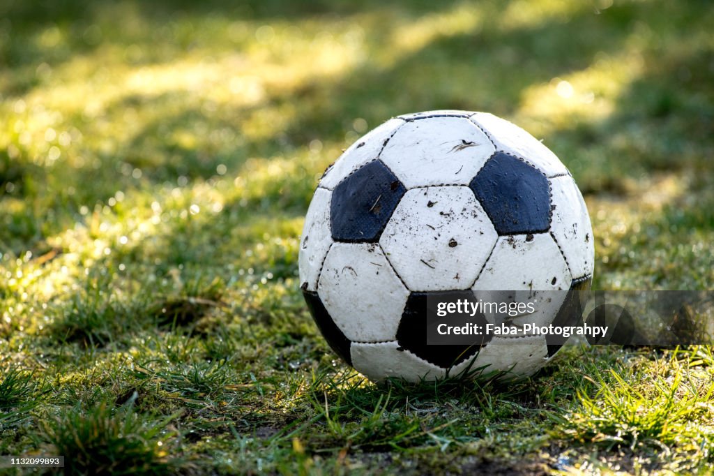 Ball On Grass