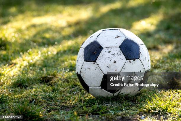 ball on grass - football stock-fotos und bilder