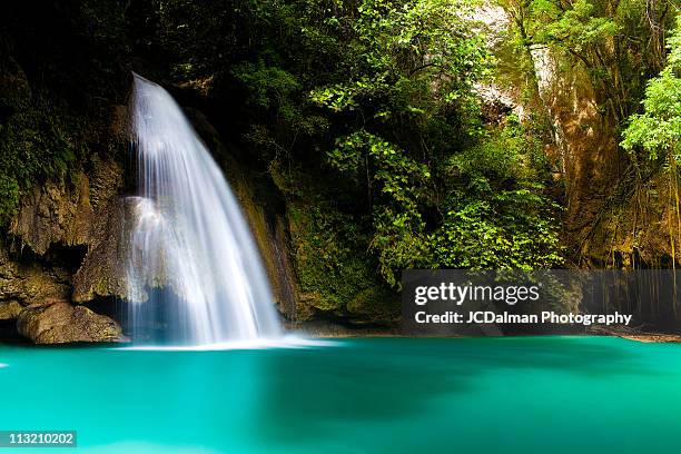 kawasan falls - cebu province stock pictures, royalty-free photos & images