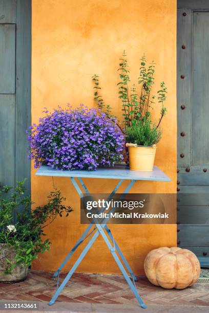 provencal dekoration: blommor och timjan på ett bord mot gul vägg. - lavendelfärgad bildbanksfoton och bilder