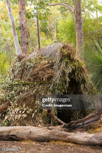 268 Humpy Stock Photos, High-Res Pictures, and Images - Getty Images