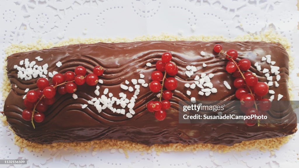 Chocolate log with redcurrants
