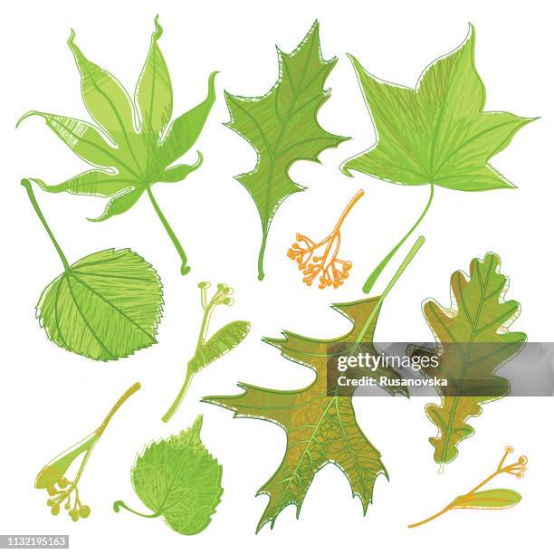 green leaves seamless pattern - marketing ecosystem stock illustrations