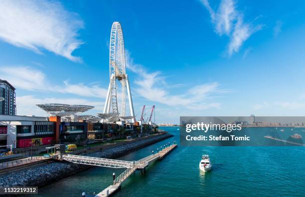 bluewaters island in dubai with large ferris wheel on a sunny day - dubai jbr stock pictures, royalty-free photos & images