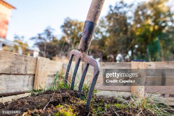 jardin - fourche - pitchfork agricultural equipment stock pictures, royalty-free photos & images