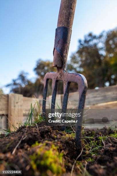 jardin - fourche - pitchfork agricultural equipment bildbanksfoton och bilder