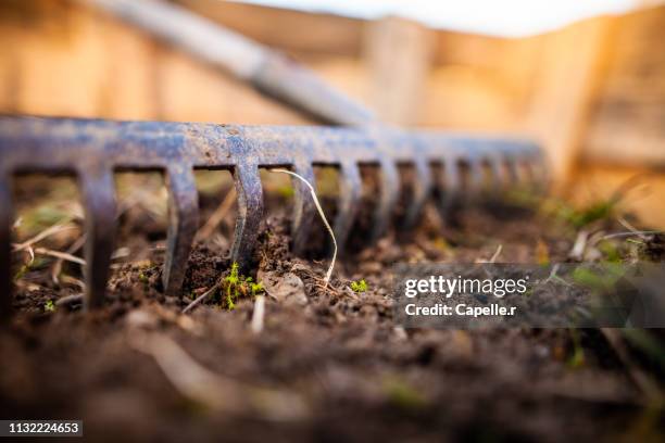 jardin - rateau - entassé bildbanksfoton och bilder