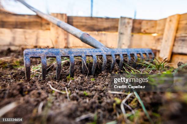 jardin - rateau - entassé bildbanksfoton och bilder