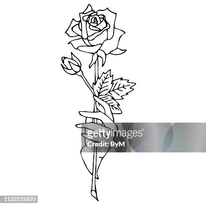 Rose On The Palms Of Womans Hands Abstract Pattern Tattoo Design High-Res  Vector Graphic - Getty Images