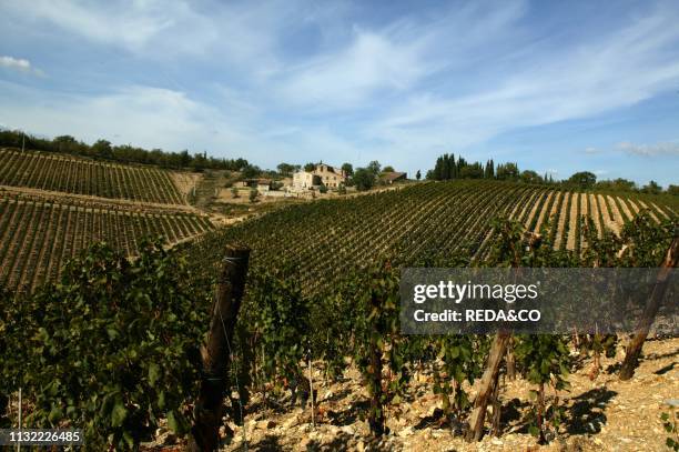 Castello di Ama winery. Vigneto Montebuoni vineyard. Borgo di Ama. Localitˆ Ama. Gaiole in Chianti. Tyscany. Italy. Europe.