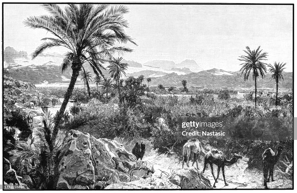 Oasis i Petra (nuvarande Jordanien) Arabien