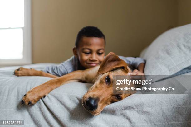 adopted african american boy with adopted dog - geredde hond stockfoto's en -beelden