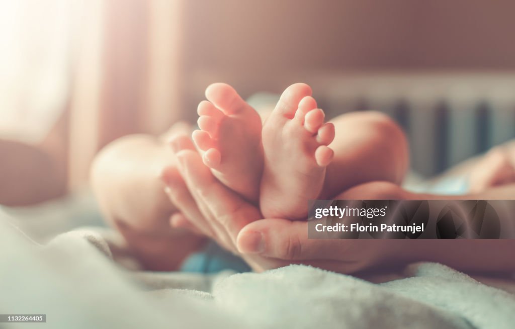 Feet of new born Baby in Hand
