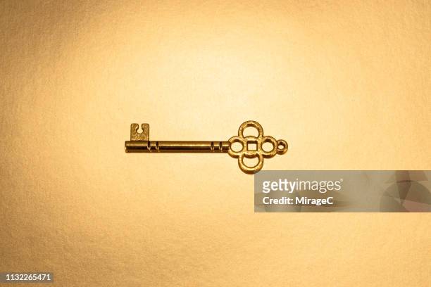 golden key close-up view - early access stock pictures, royalty-free photos & images