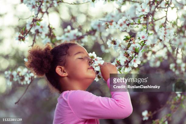 mädchen genießen blühendes aroma. - blossom tree stock-fotos und bilder