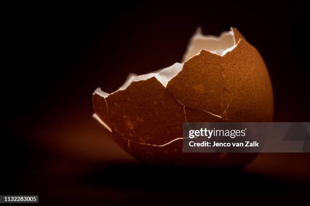 close-up empty shell of a chicken egg - kleine scherptediepte stock pictures, royalty-free photos & images