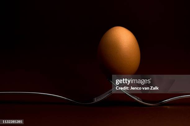 brown chicken egg on forks - kleine scherptediepte stock pictures, royalty-free photos & images