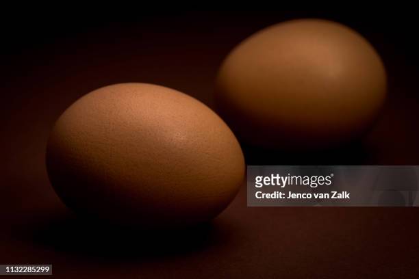 close-up of two brown eggs - kleine scherptediepte stock pictures, royalty-free photos & images