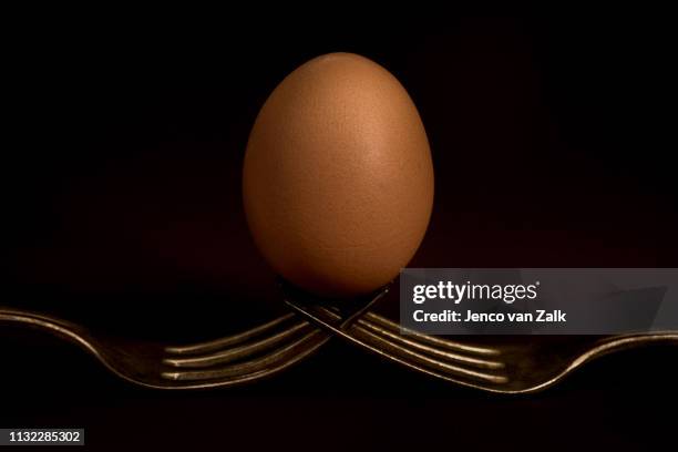 close up chicken egg on forks - eenvoud - fotografias e filmes do acervo