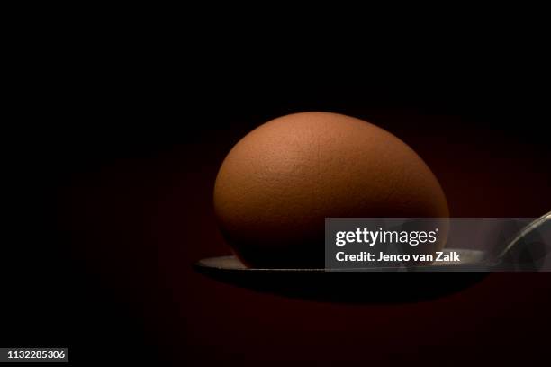 egg on a silver spoon - lepel stock pictures, royalty-free photos & images