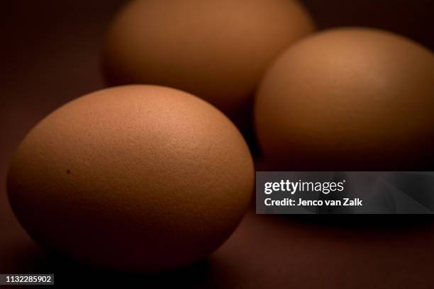 close-up of three brown eggs - eenvoud stock-fotos und bilder