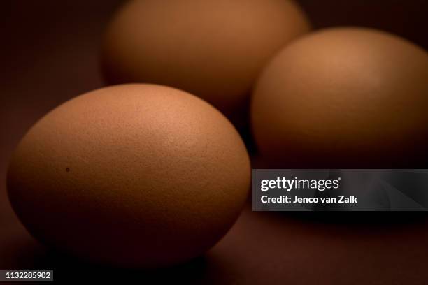 close-up of three brown eggs - kleine scherptediepte stock pictures, royalty-free photos & images