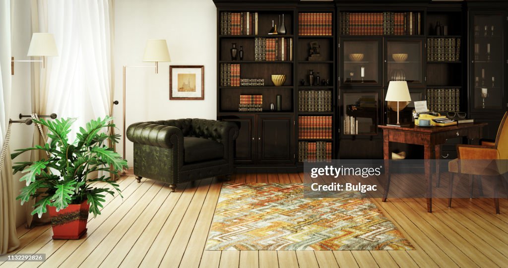 Traditional Home Library Interior
