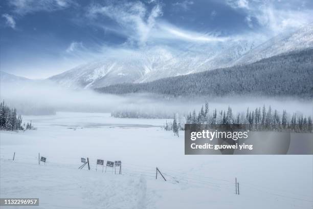 fresh snow surface - 寒冷的 stockfoto's en -beelden