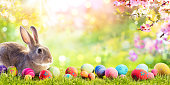 Adorable Bunny With Easter Eggs In Flowery Meadow