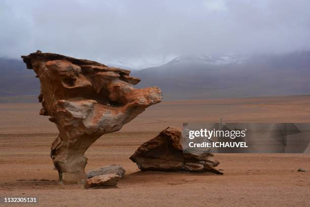 the stone tree bolivia - ciel menaçant stock-fotos und bilder