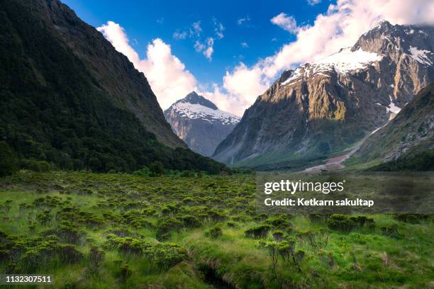 fiordland national park near way to milford sound , southland , new zealand - forest new zealand stockfoto's en -beelden