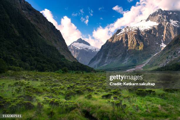 George Sound 5,393 Fiordland National Park New Zealand Stock Photos, High-Res ...