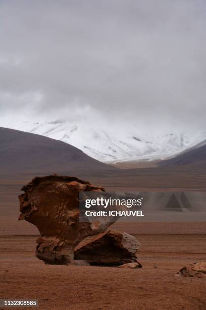 the stone tree bolivia - admirer le paysage stockfoto's en -beelden