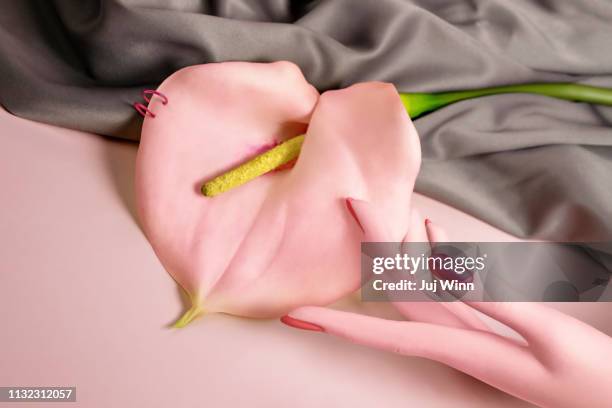 hand with calla lily - intimpiercing stock-fotos und bilder