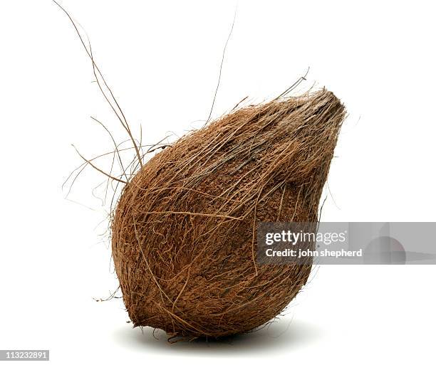 coconut isolated against a white background - husk stockfoto's en -beelden