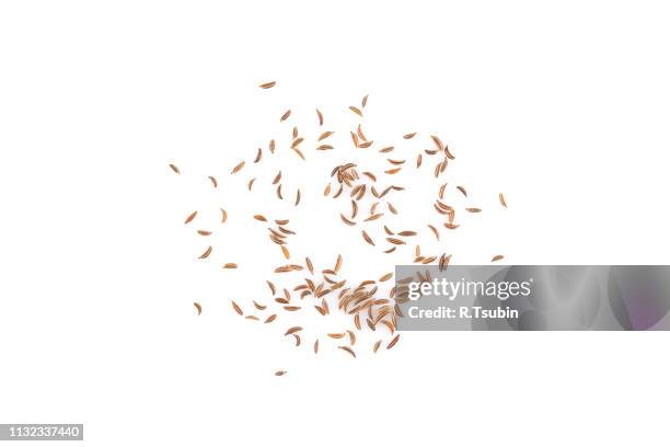 pile of dry caraway seeds - cominho imagens e fotografias de stock