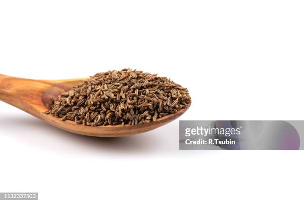 pile of dry caraway seeds - cumin bildbanksfoton och bilder