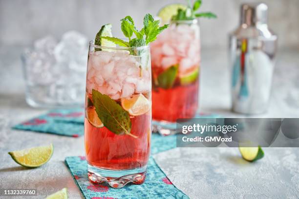 kombucha mojito mit frischer minze und eis - eiswürfel stock-fotos und bilder