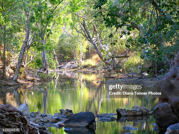 billabong in kimberleys - billabong water stock pictures, royalty-free photos & images