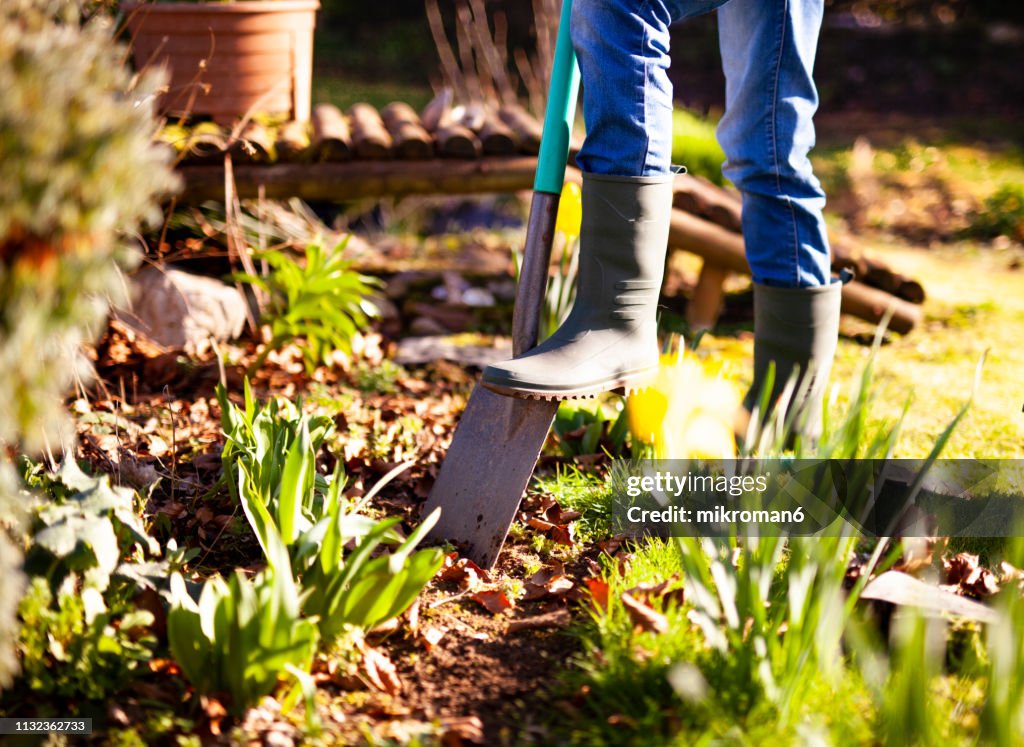 Woman digging a hole in the garden with a spade