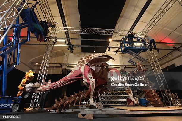 Workers construct a giant truss around a plastinated giraffe posed to look as if it is clinging to a tree in order to pull it upright at the Body...