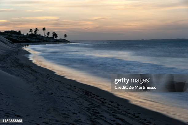 beach - descontrair fotografías e imágenes de stock