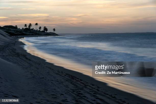 beach - ensolarado stock pictures, royalty-free photos & images