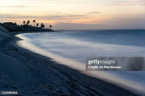 beach - descontrair fotografías e imágenes de stock