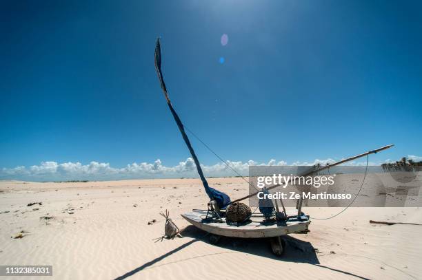 beach - plano de fundo 個照片及圖片檔