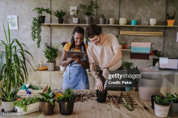 bloemisten met behulp van digitale tablet - business couple showing stockfoto's en -beelden