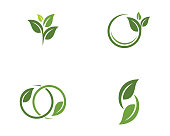 Tree leaf vector   design
