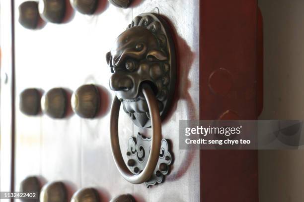 series of wooden door with lion door knocker - door knocker stock-fotos und bilder