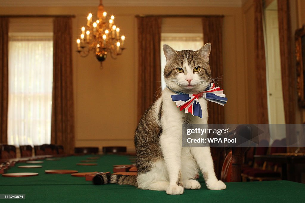 The Downing Street Cat Gets In The Royal Wedding Spirit